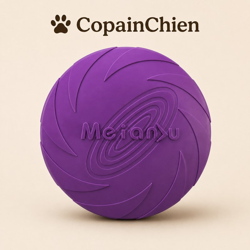 frisbee chien water resistant bord eau CopainChien