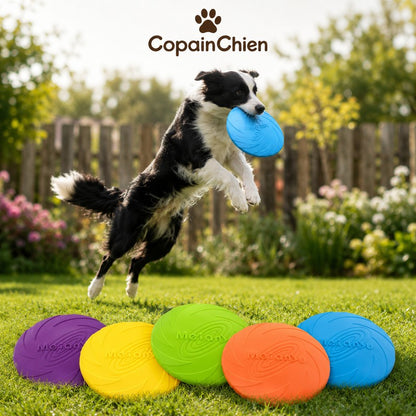 frisbee chien grand gabarit solide CopainChien