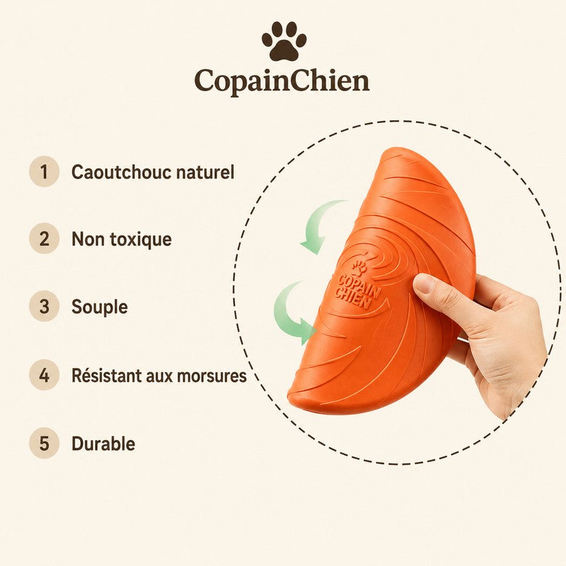disque chien jeu actif plein air CopainChien
