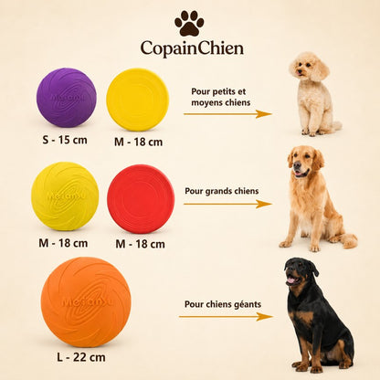 frisbee chien compact transport balade CopainChien