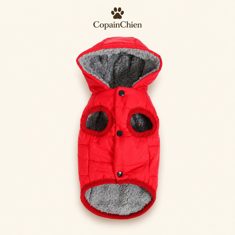 manteau chaud chien anneau D laisse CopainChien