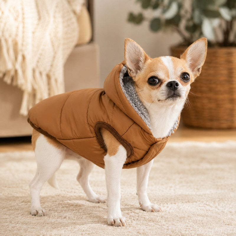 vetement chien hiver parkadog cosy CopainChien