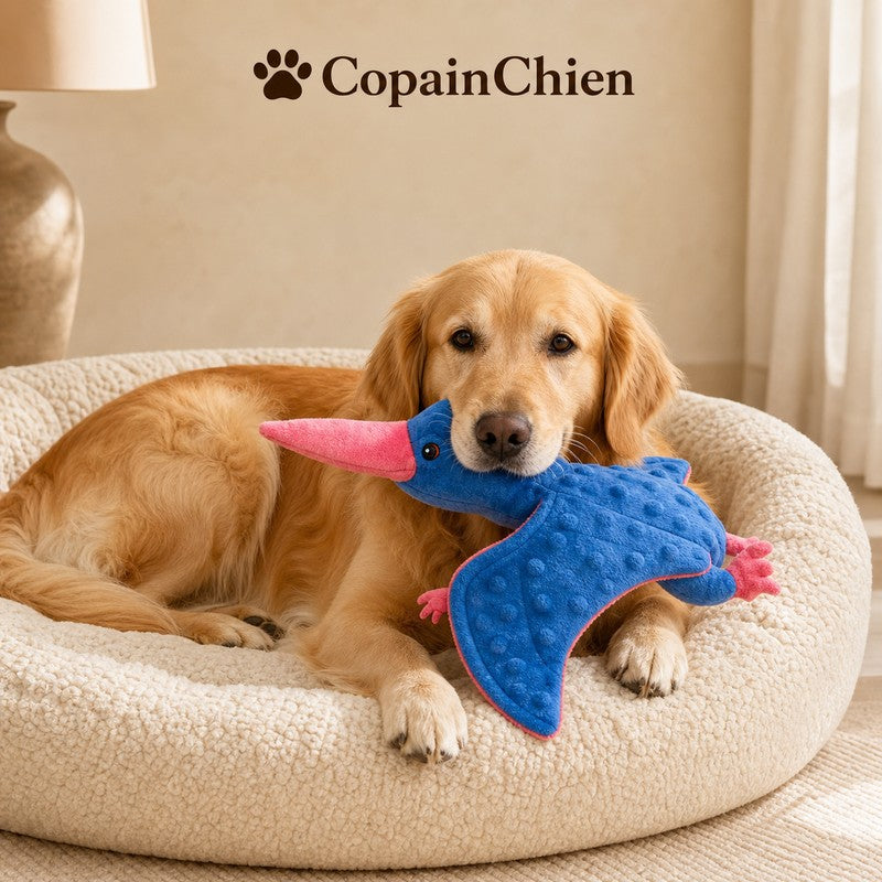 peluche chien dinosaure douce polaire jouet CopainChien