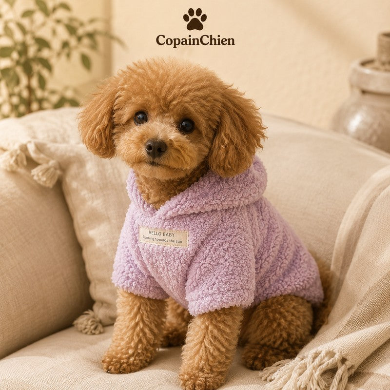 pull peluche chien violet hiver CopainChien