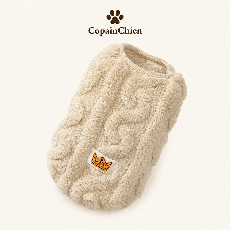 pull chien chihuahua yorkshire CopainChien