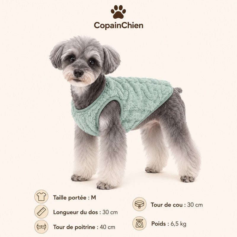 habit chaud chien automne hiver CopainChien
