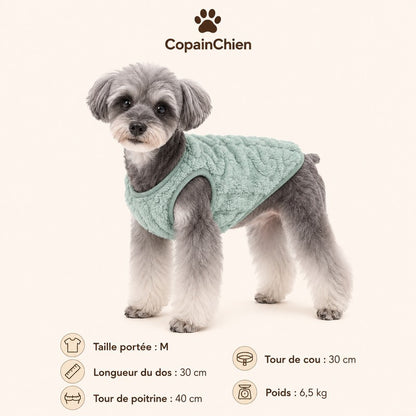 habit chaud chien automne hiver CopainChien
