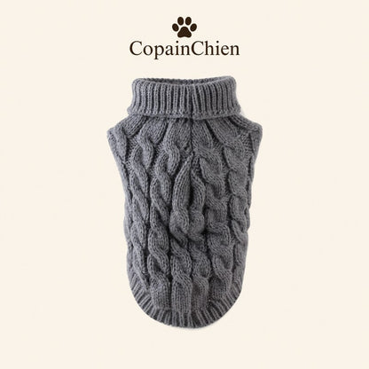 pull chien tricot blanc chihuahua CopainChien