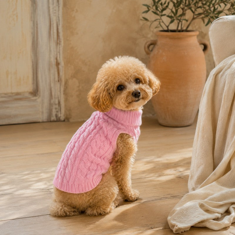 pull chihuahua guide taille CopainChien