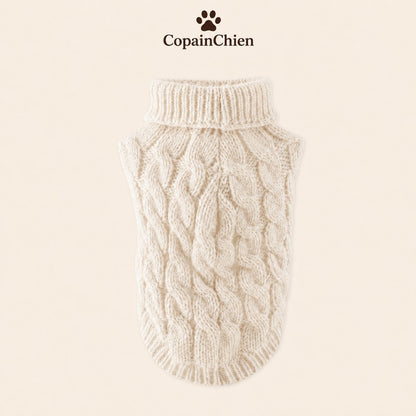 tenue chien froid tricot CopainChien