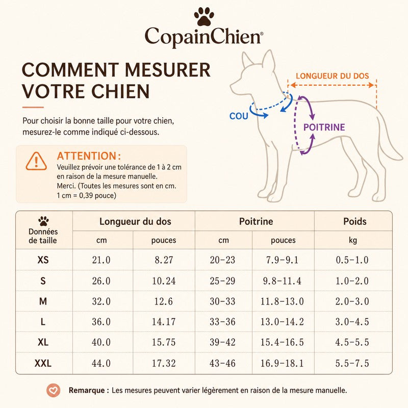 pull chihuahua porte de face CopainChien