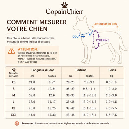 pull chihuahua porte de face CopainChien