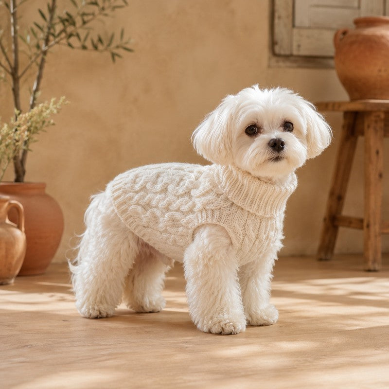 pull chien automne coloris doux CopainChien
