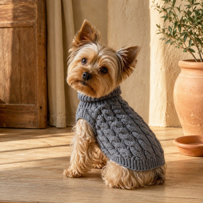 vetement petit chien laine enfilage CopainChien