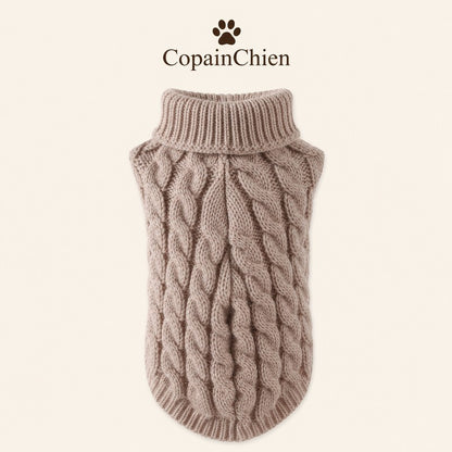 pull chihuahua laine coloris CopainChien