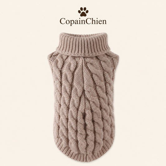 pull chihuahua laine coloris CopainChien
