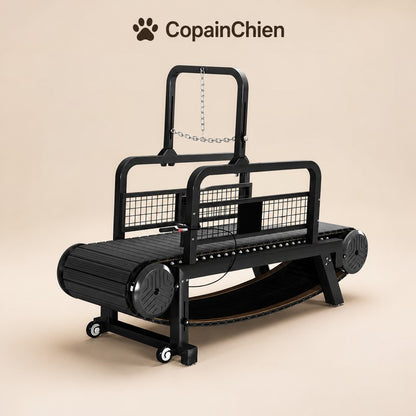 tapis roulant chien interieur rails securite CopainChien