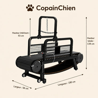 chien actif tapis roulant RunTrack CopainChien