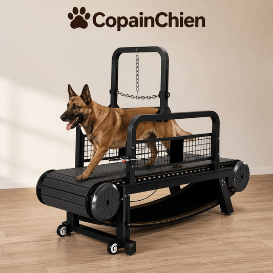 tapis roulant non motorise chien RunTrack CopainChien
