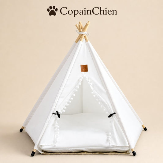 tente tipi chien bois de pin interieur salon