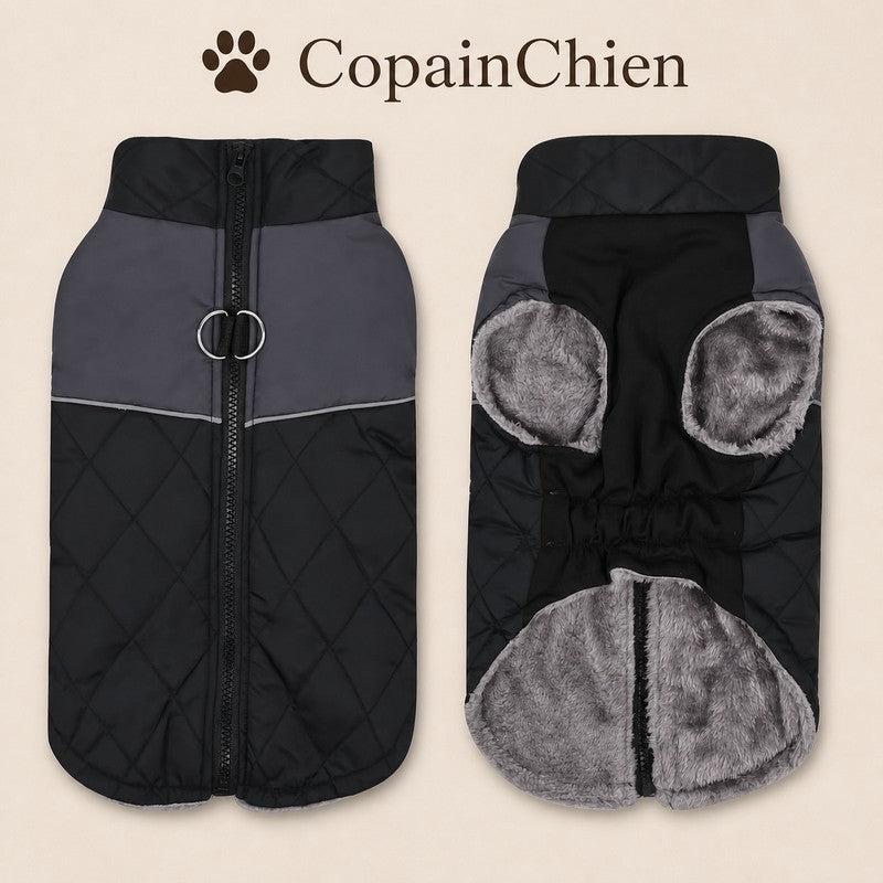 manteau hiver grand chien WinterShield bleu CopainChien