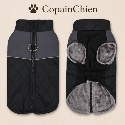 manteau hiver grand chien WinterShield bleu CopainChien